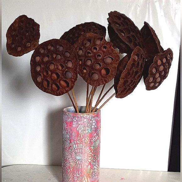5 Dried Lotus Pods - Picture 1 of 5